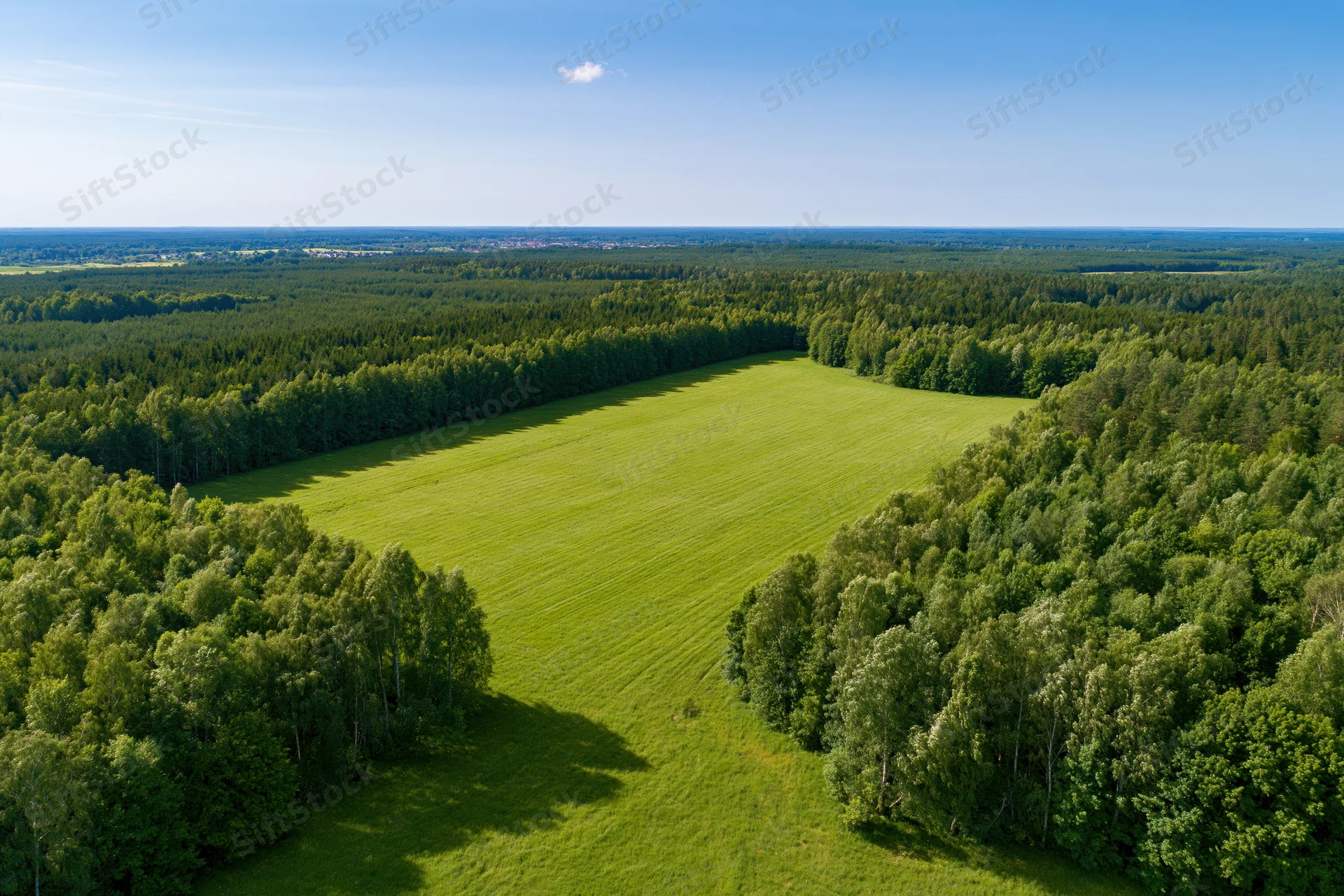 Aerial drone view of a vast green meadow surrounded by dense forest under a clear blue sky