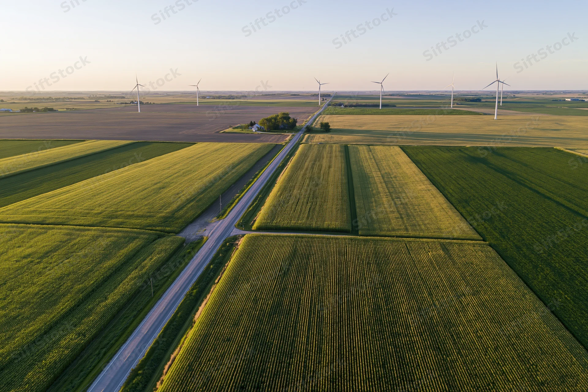 Aerial view of cornfields and wind turbines in midwestern farmland at sunset