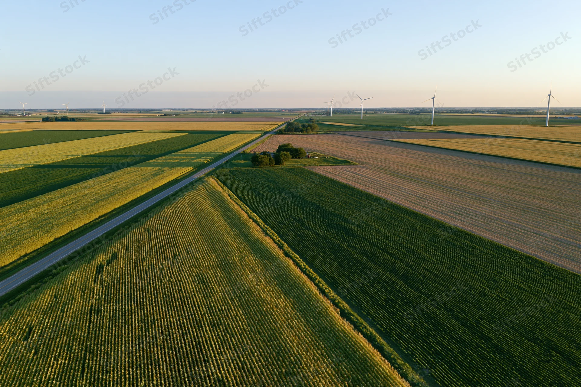 Aerial view of cornfields and wind turbines across flat midwestern farmland at sunset