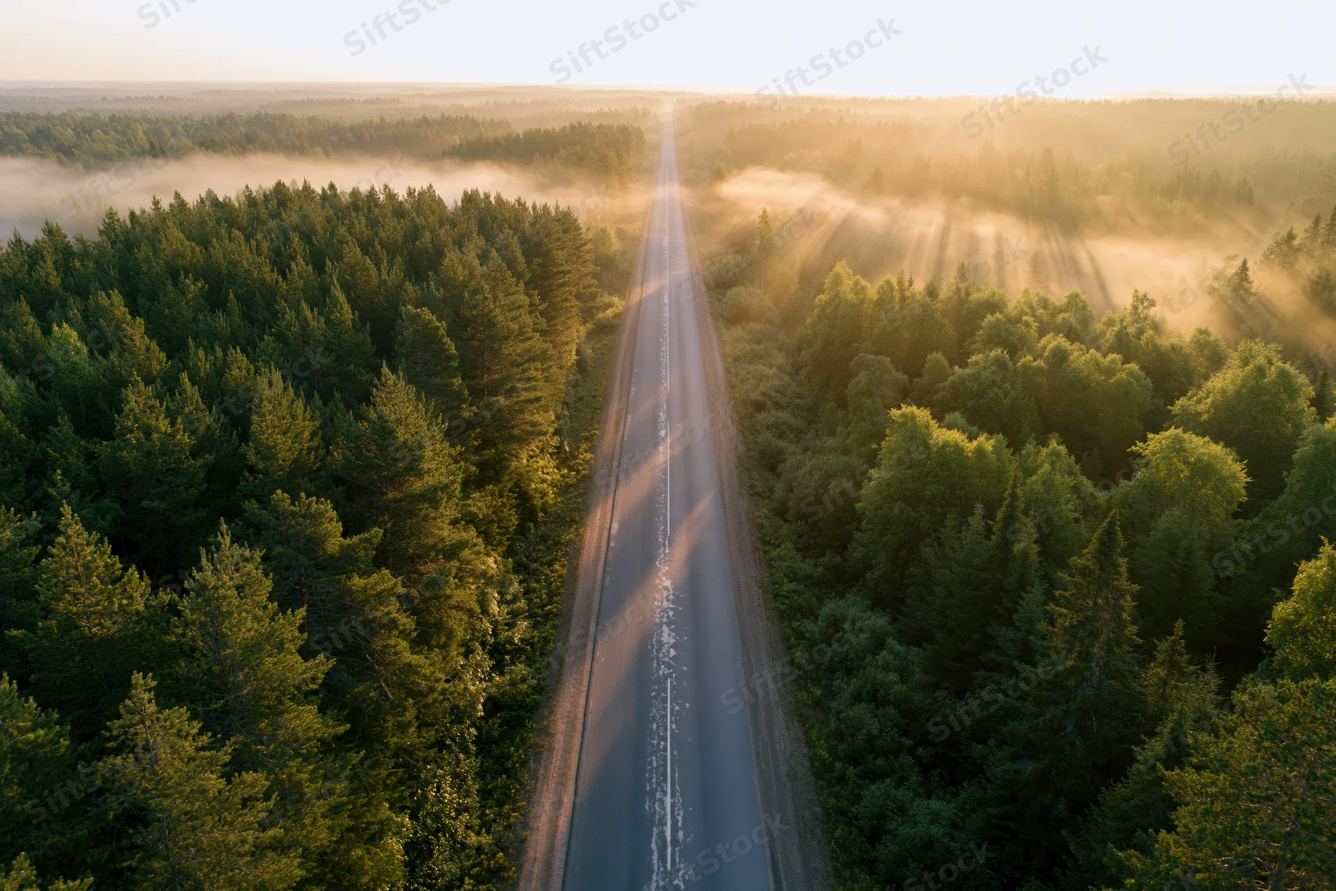 Aerial view of a straight two-lane road cutting through a dense forest at sunrise with mist and sunlight rays filtering through trees