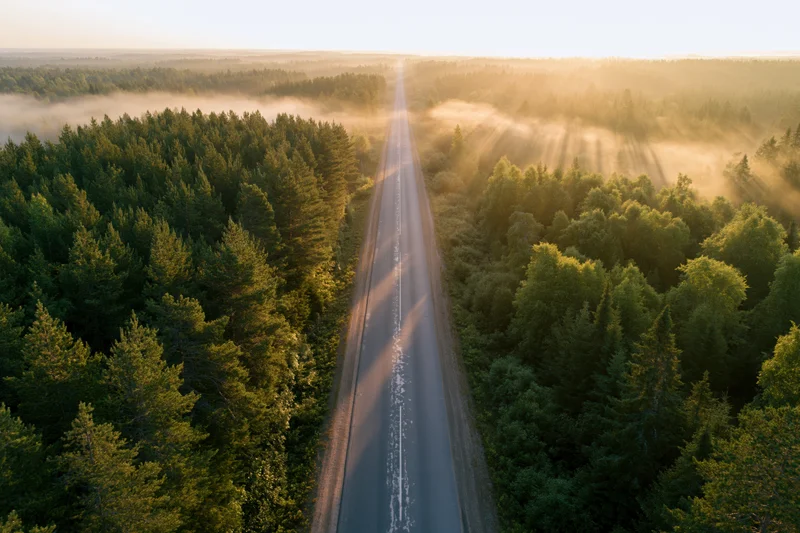 Aerial view of a straight two-lane road cutting through a dense forest at sunrise with mist and sunlight rays filtering through trees