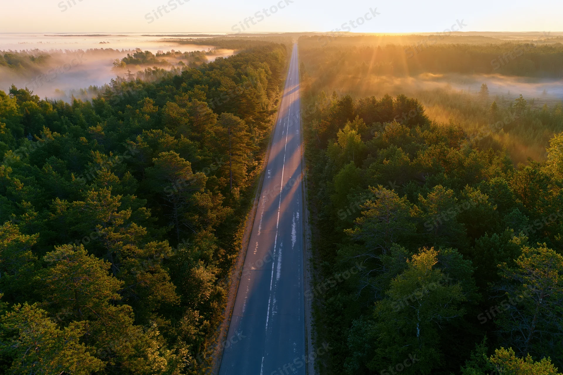 Aerial drone view of a straight two-lane asphalt road cutting through dense forest at sunrise with mist and golden light