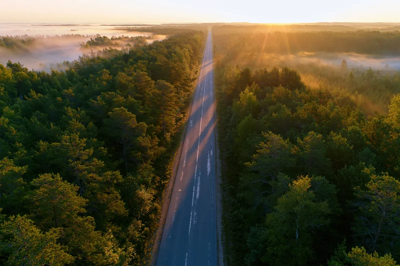 Aerial drone view of a straight two-lane asphalt road cutting through dense forest at sunrise with mist and golden light
