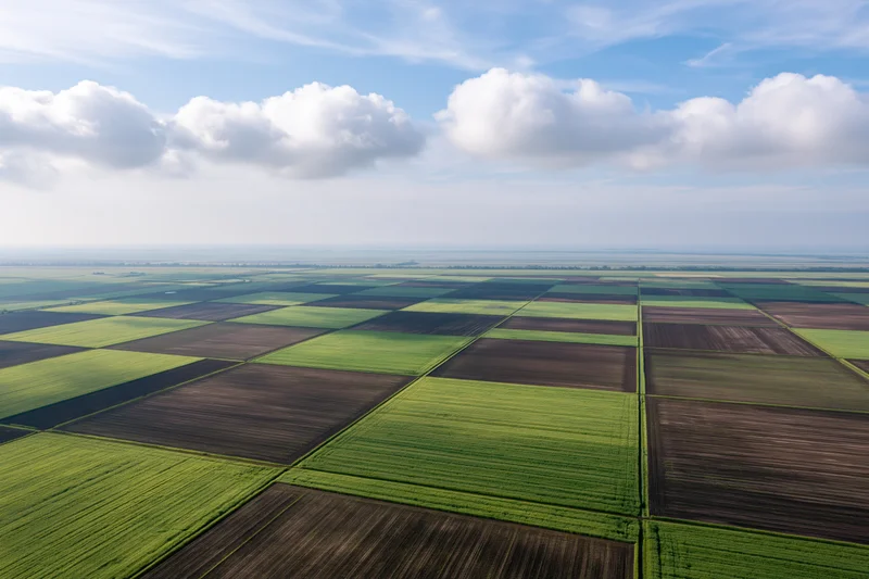 Aerial view of cultivated fields arranged in a grid pattern under a blue sky with clouds