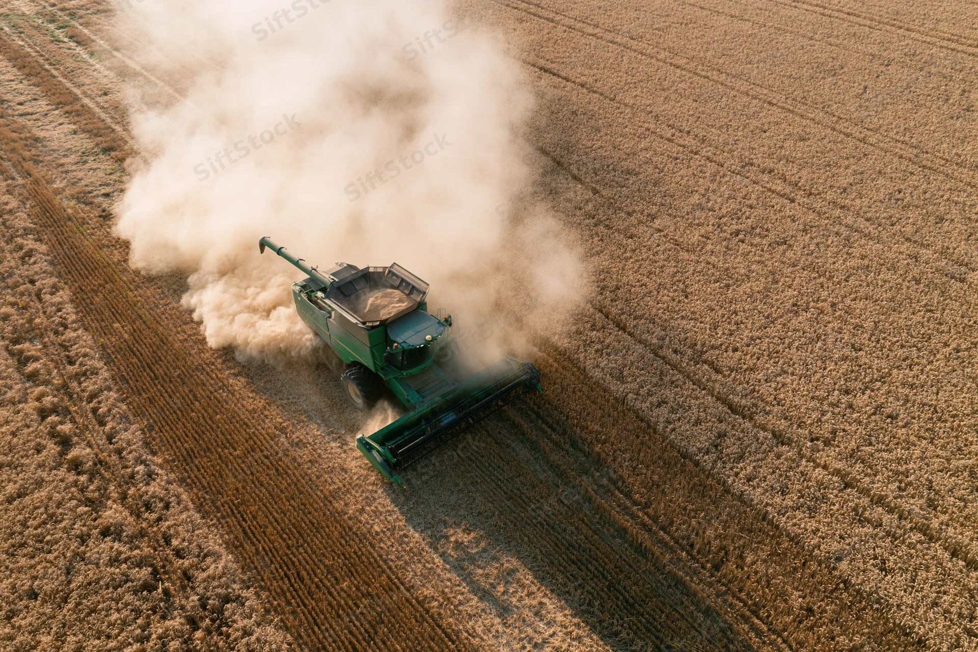 Green combine harvester harvesting wheat in a field from aerial view