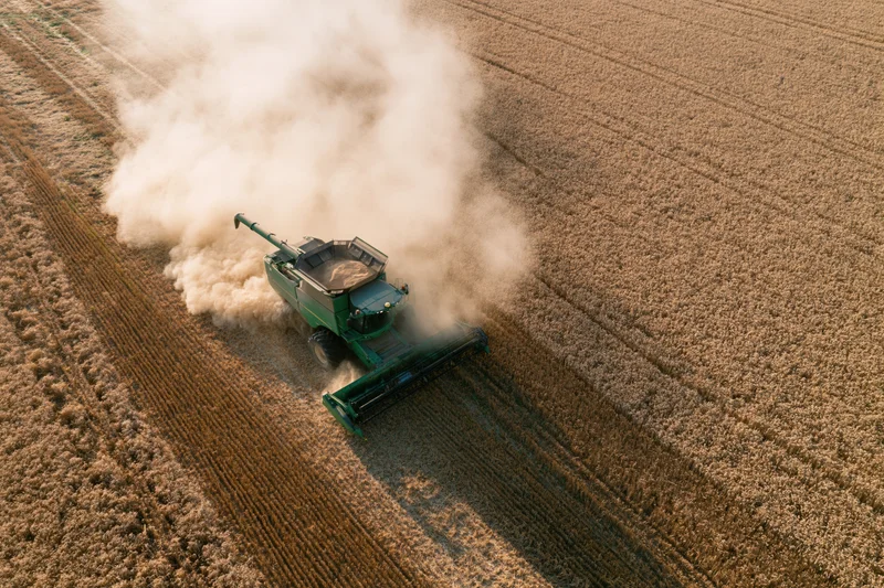 Green combine harvester harvesting wheat in a field from aerial view
