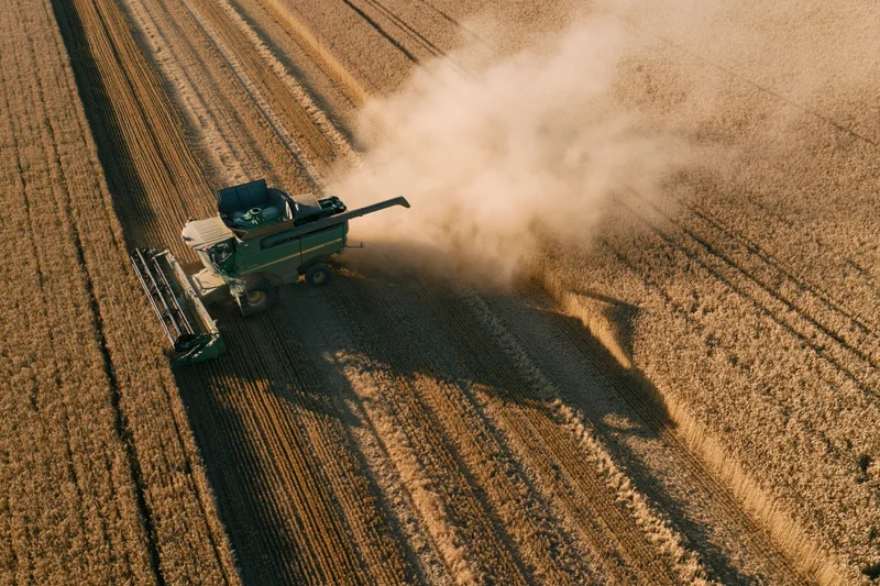 Aerial view of green combine harvester moving through golden wheat field during harvest