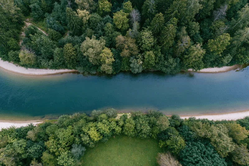 Aerial top-down view of a calm river flowing through dense forest with green trees and sandy banks