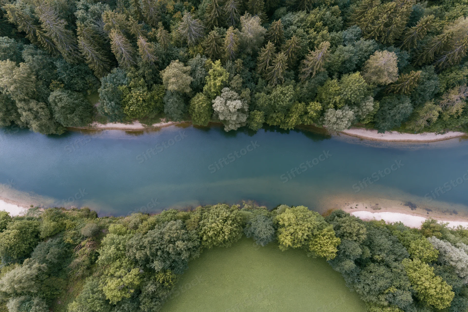 Aerial top-down view of a calm river surrounded by dense forest and green meadow