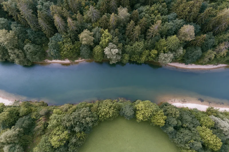 Aerial top-down view of a calm river surrounded by dense forest and green meadow