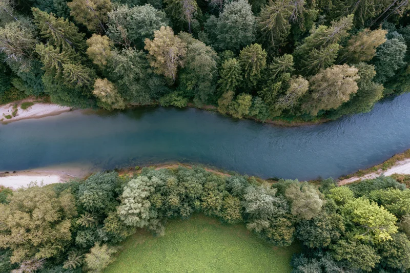 Aerial top-down view of a calm river curving through dense forest with green trees and sandy banks