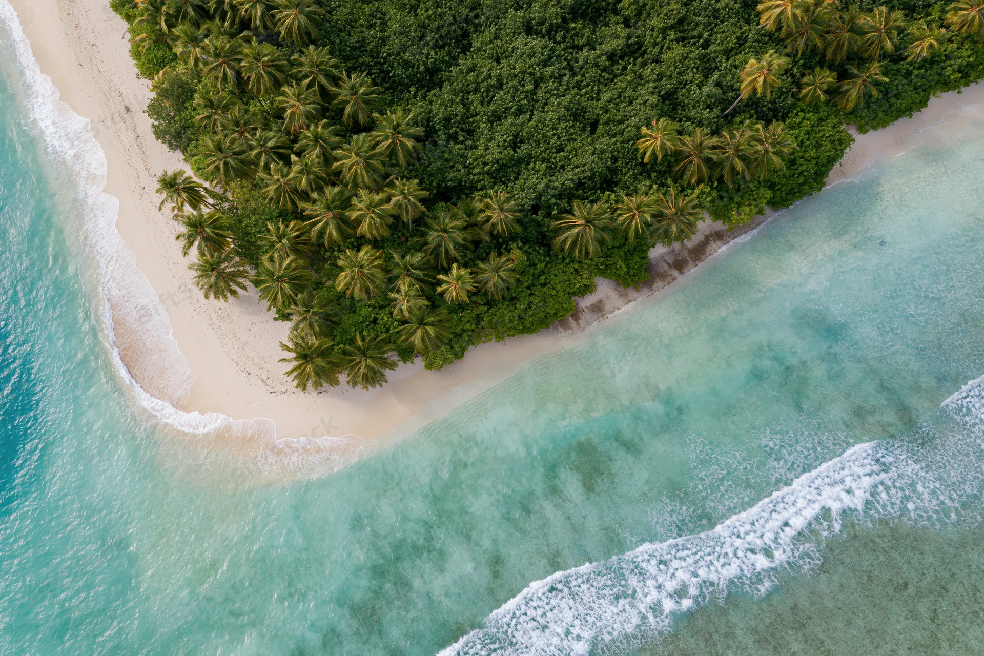 Aerial top-down view of a tropical island shoreline with palm trees, white sand, and turquoise ocean waves