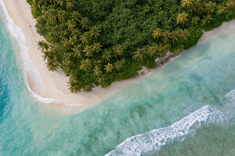 Aerial top-down view of a tropical island shoreline with palm trees, white sand, and turquoise ocean waves