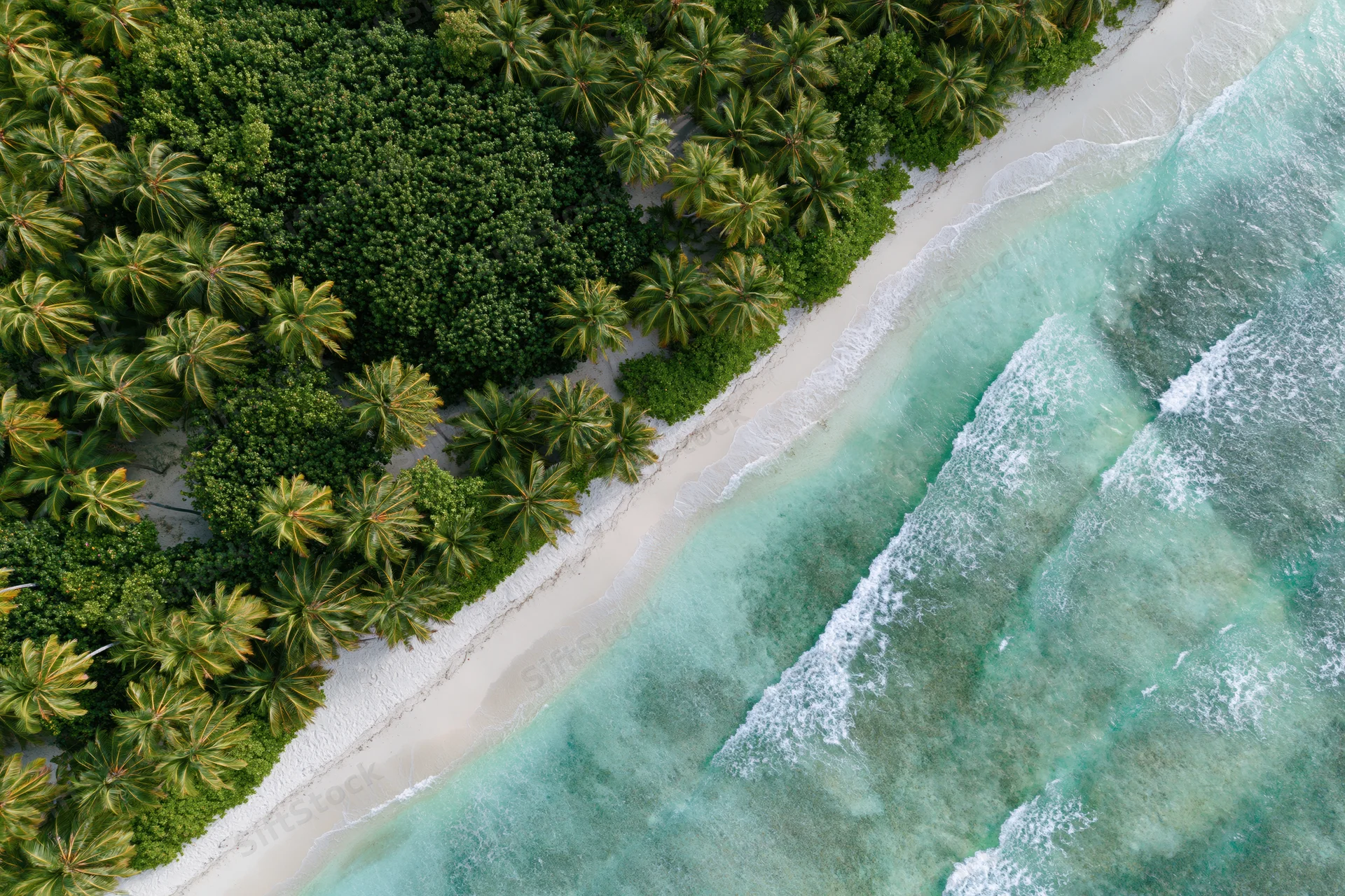 Aerial top-down view of tropical island shoreline with palm trees and turquoise waves meeting white sand beach