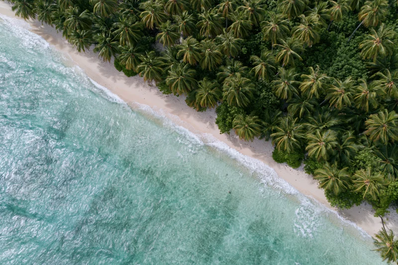 Aerial top-down view of a tropical island shoreline with turquoise ocean waves meeting a sandy beach lined with palm trees