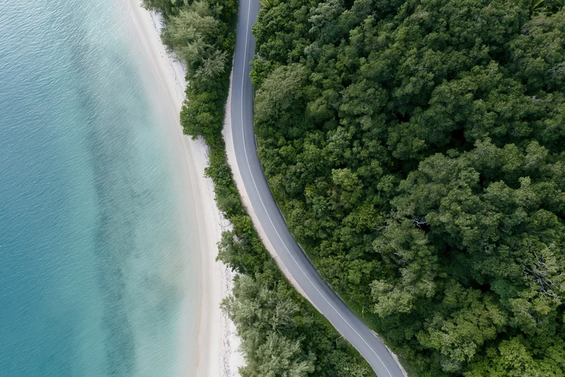Winding coastal road bordered by white sand beach and dense green forest from above