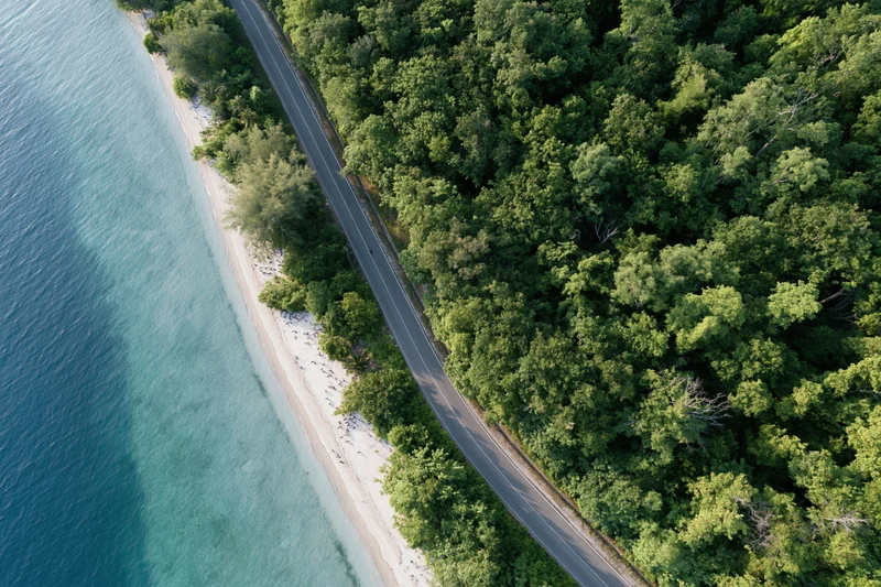 Aerial view of winding coastal road between dense green forest and turquoise ocean shoreline