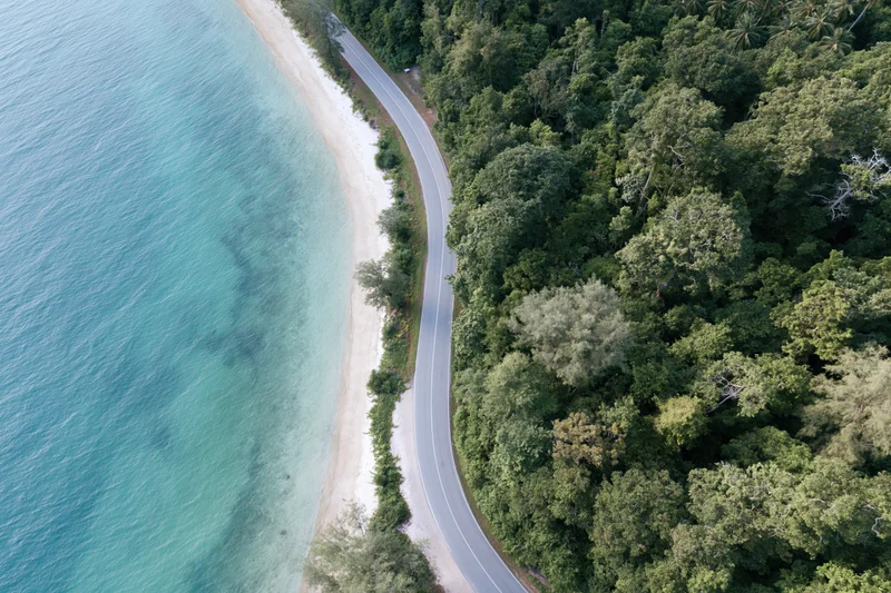 Aerial top-down view of a winding coastal road between a white sandy beach and a dense green forest bordering turquoise ocean water