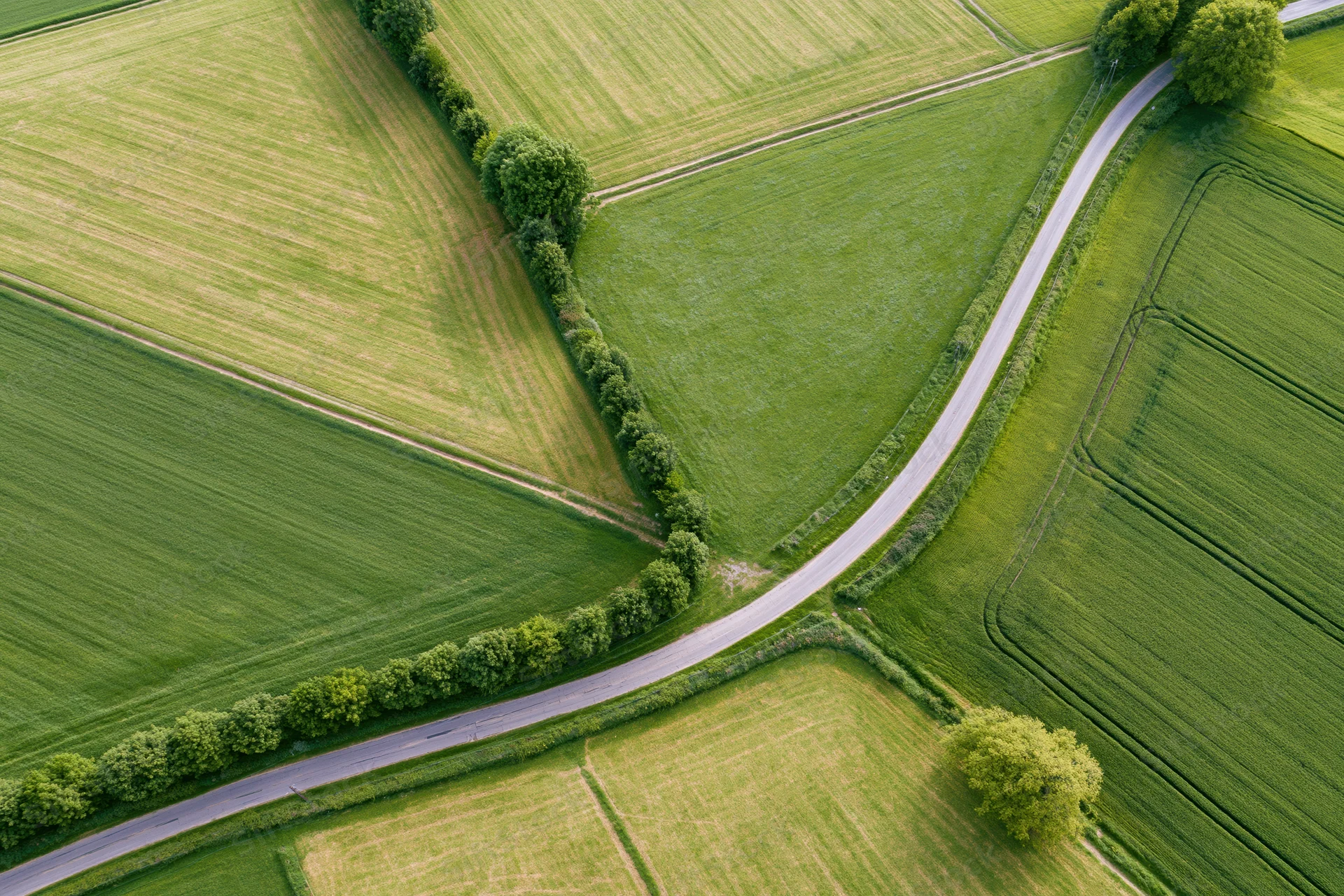 Aerial top-down view of a winding rural road through green agricultural fields