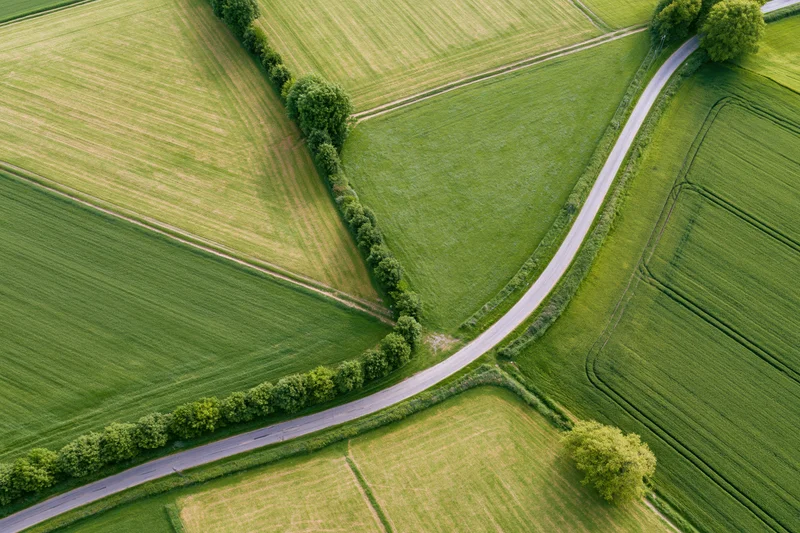 Aerial top-down view of a winding rural road through green agricultural fields