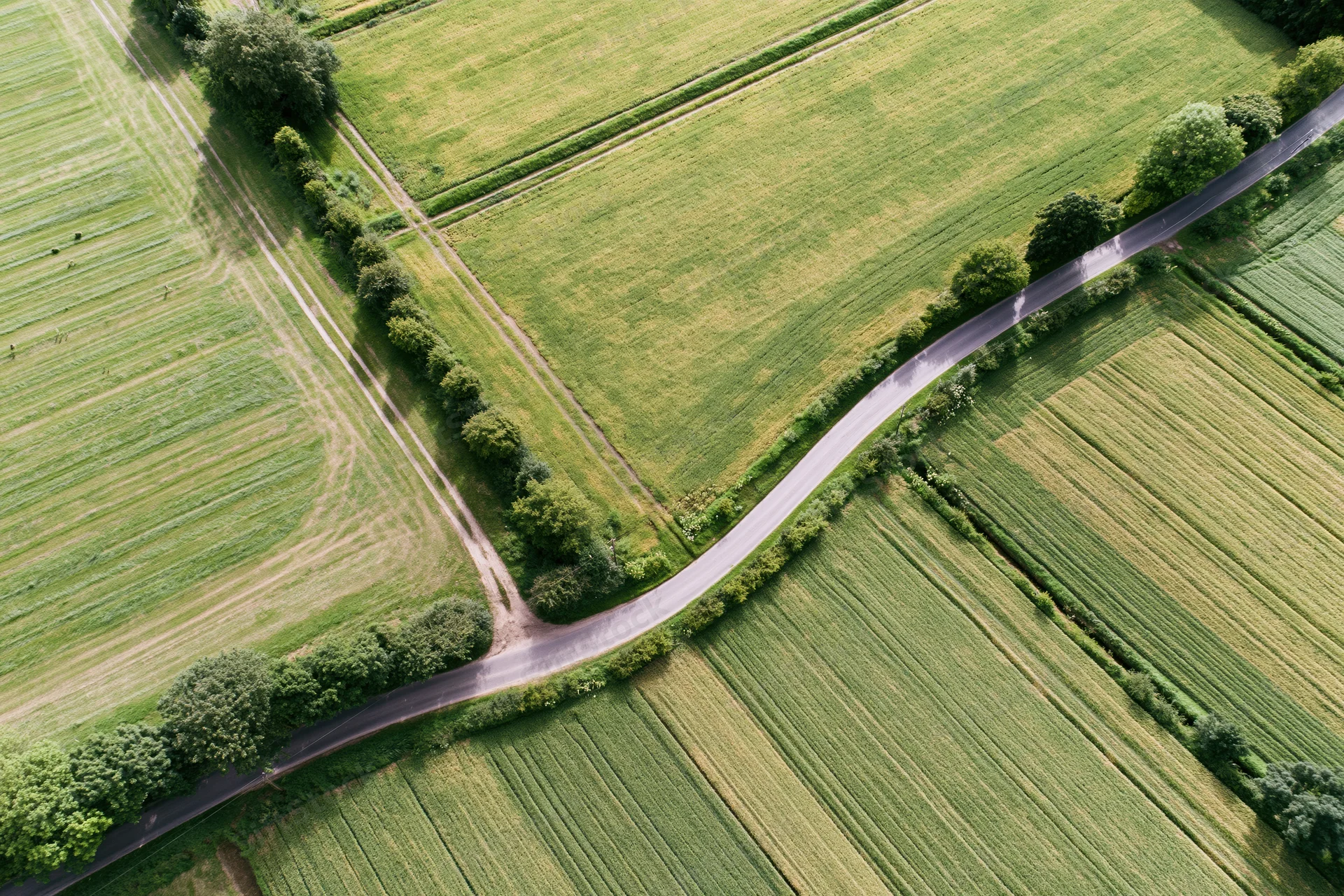Aerial top-down view of a winding rural road through green agricultural fields with hedgerows and trees