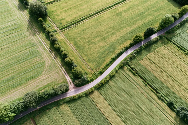 Aerial top-down view of a winding rural road through green agricultural fields with hedgerows and trees