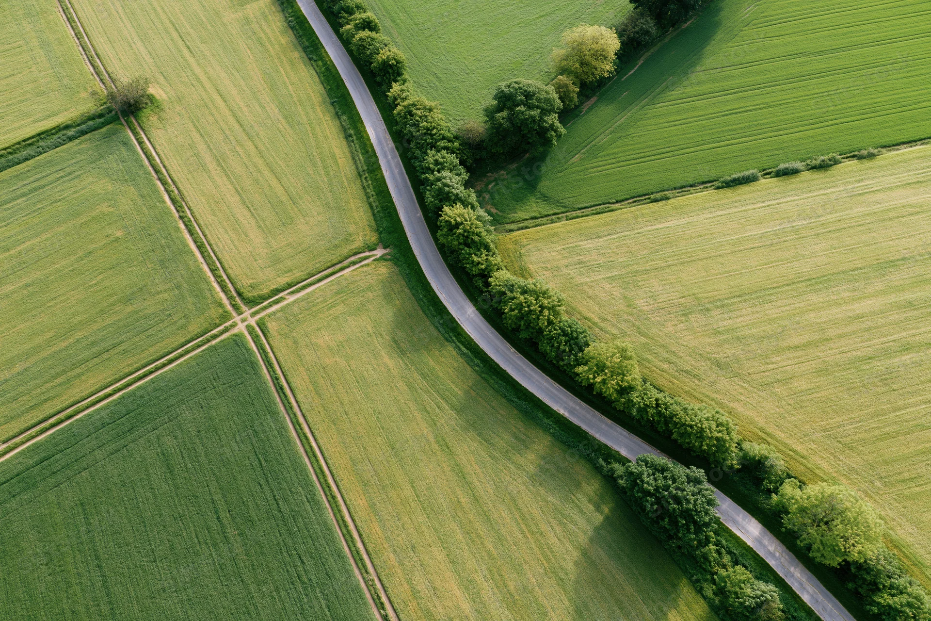 Aerial view of a winding rural road through green agricultural fields