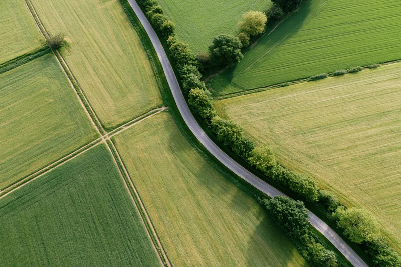 Aerial view of a winding rural road through green agricultural fields