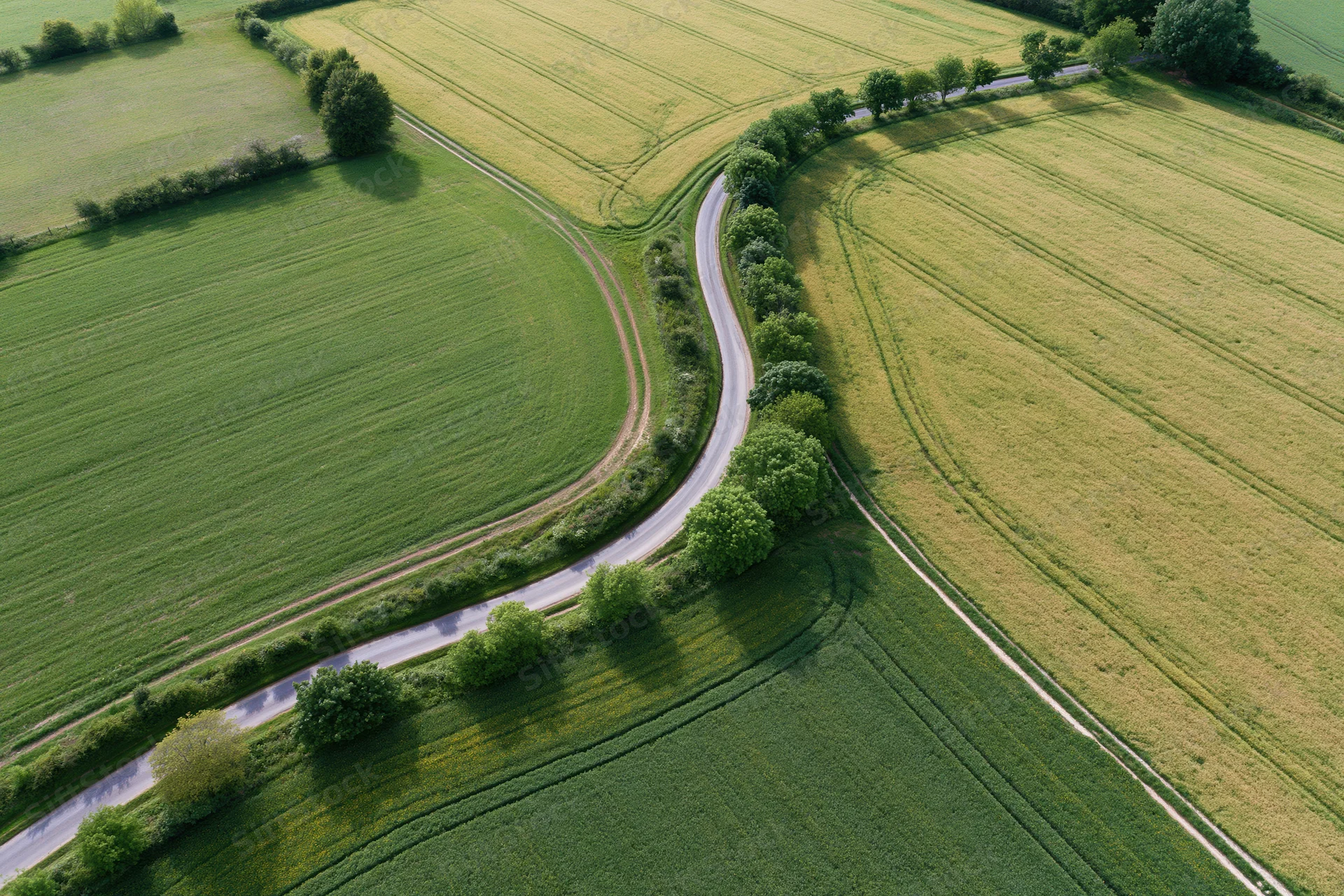 Winding rural road through green and yellow fields from aerial drone view