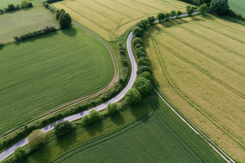 Winding rural road through green and yellow fields from aerial drone view