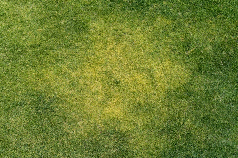 Aerial top-down view of a closely mowed grass lawn with yellow discoloration patch