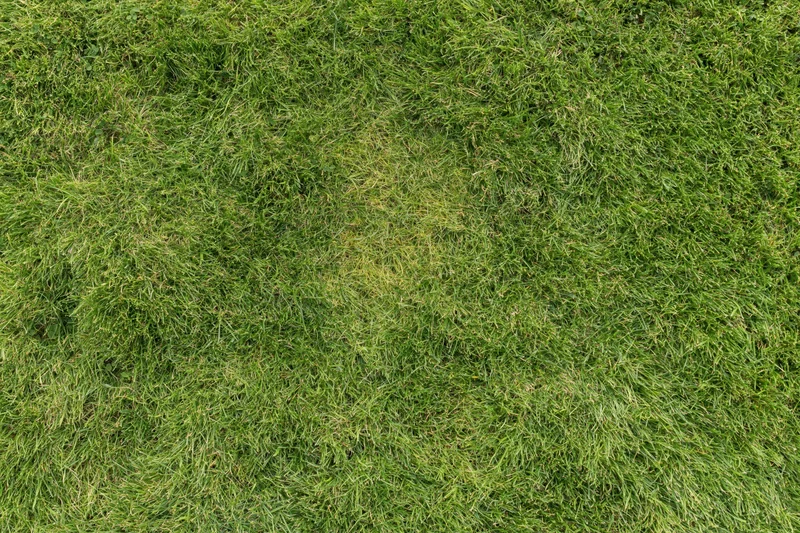 Aerial top-down view of a closely mowed green grass lawn filling the frame