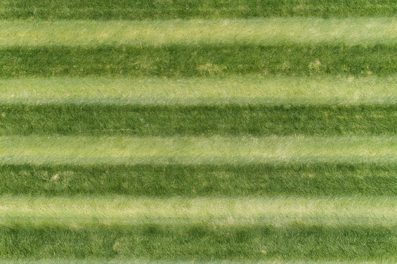 Aerial top-down view of freshly mowed sports field grass with striped pattern