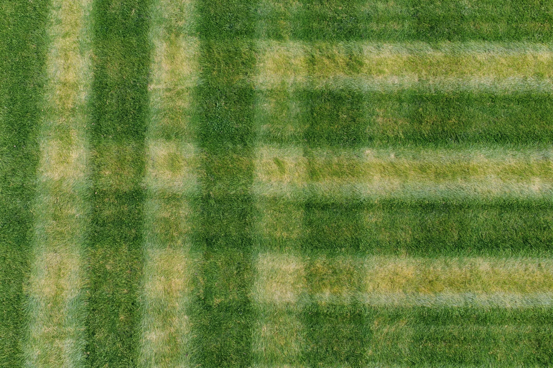 Aerial top-down view of freshly mowed sports field grass with striped pattern