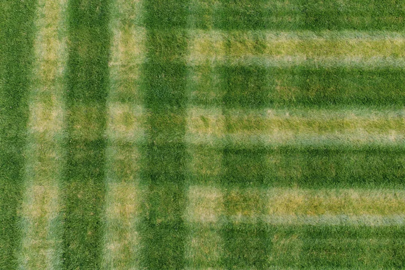 Aerial top-down view of freshly mowed sports field grass with striped pattern
