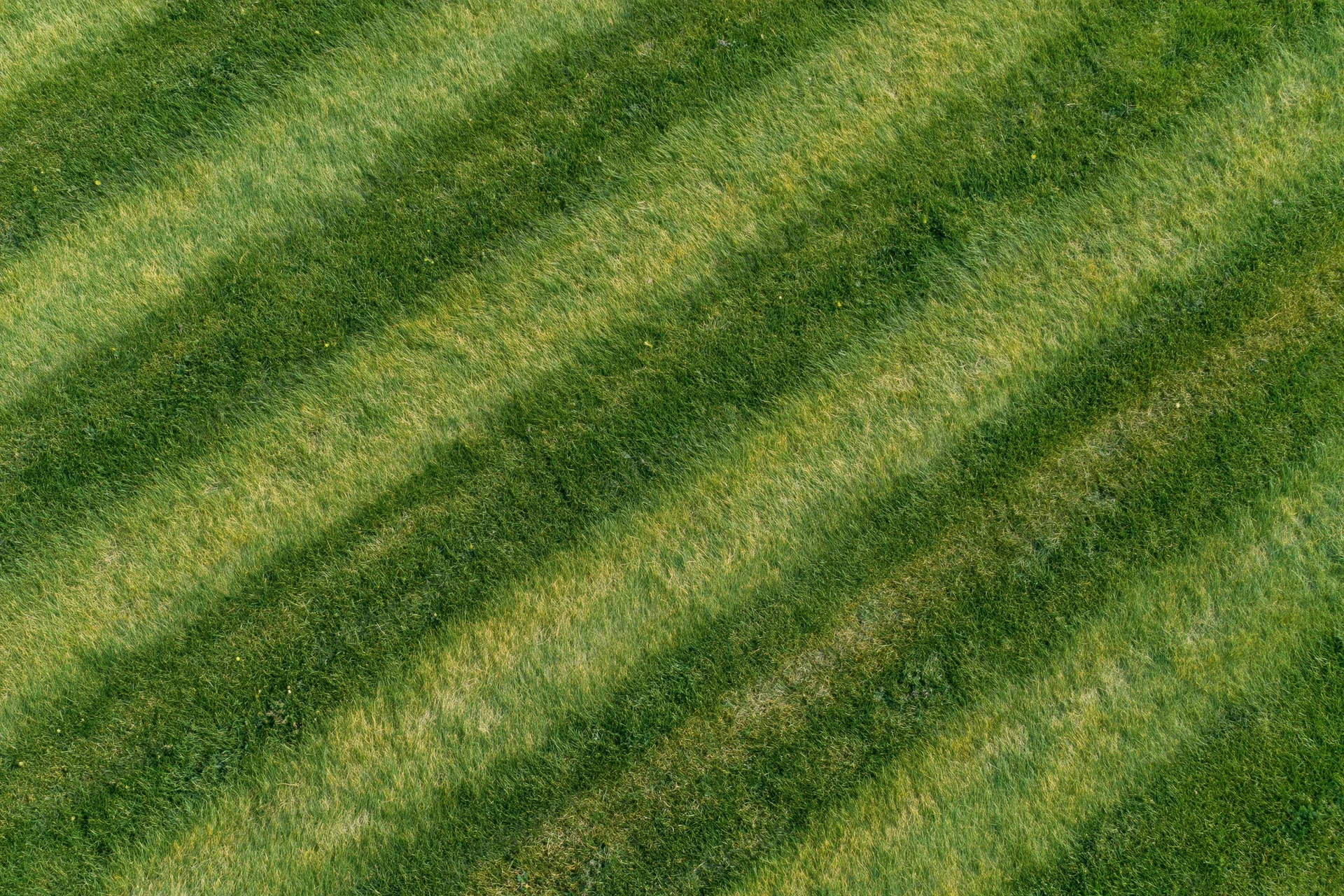 Aerial top-down view of freshly mowed sports field grass with diagonal stripes