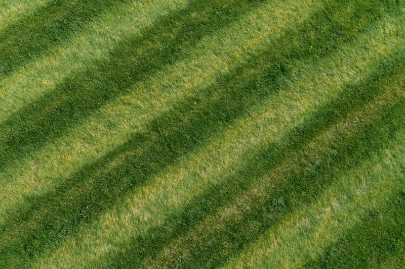 Aerial top-down view of freshly mowed sports field grass with diagonal stripes