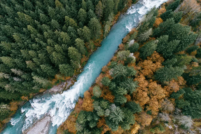 Aerial view of a turquoise river flowing through a forest with autumn foliage