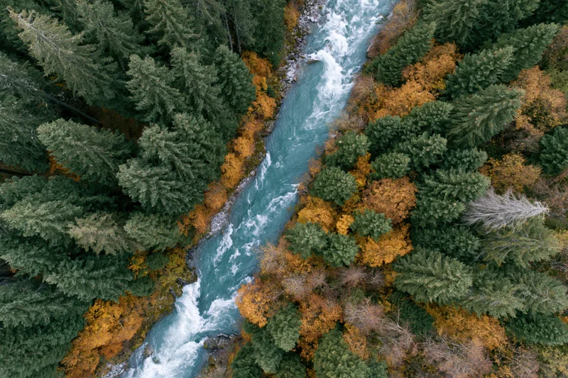 Aerial top-down view of a turquoise river flowing through a forest with autumn foliage