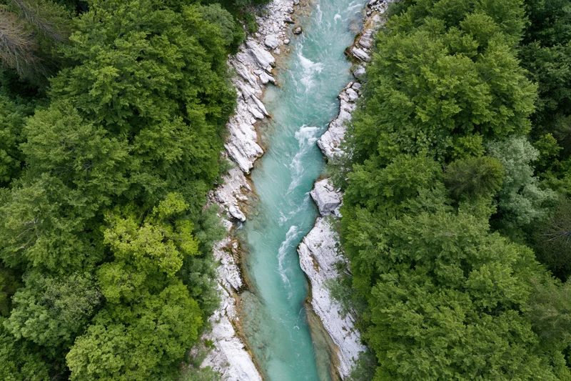 Aerial top-down view of a narrow alpine river flowing through a forested canyon with turquoise glacial water and white rocks