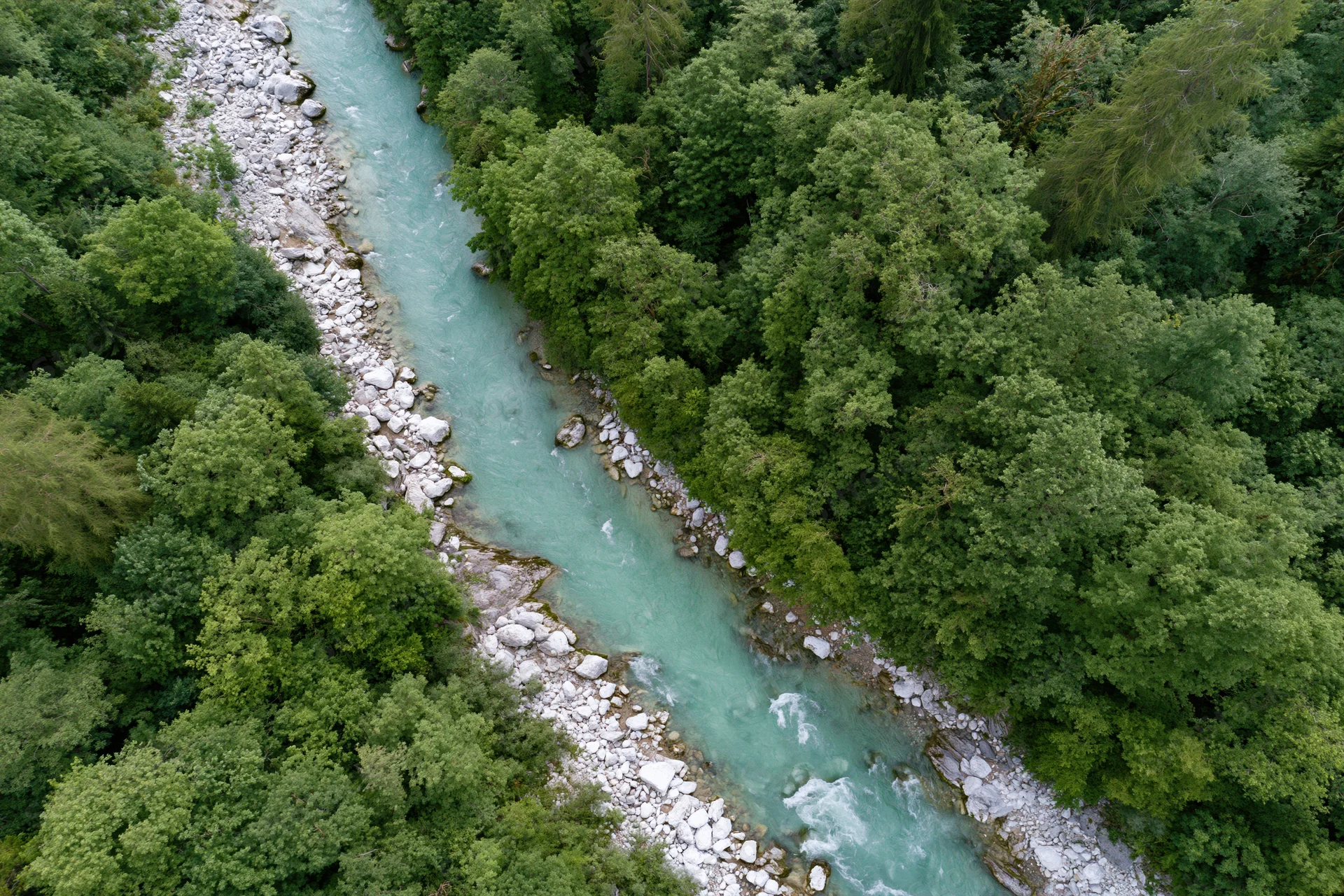 Aerial top-down view of a narrow alpine river flowing through a dense green forest with glacial turquoise water and rocky banks