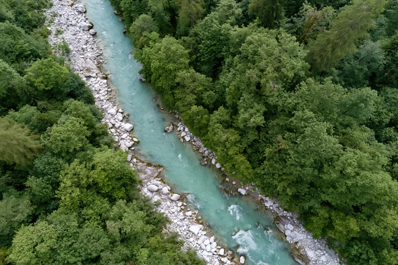 Aerial top-down view of a narrow alpine river flowing through a dense green forest with glacial turquoise water and rocky banks