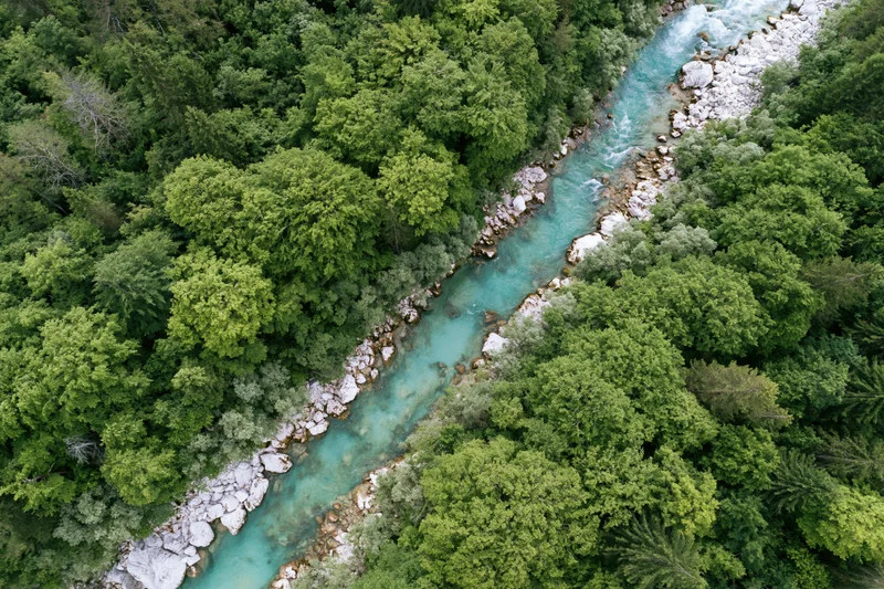 Aerial top-down view of a narrow alpine river flowing through dense green forest with turquoise water and rocky banks