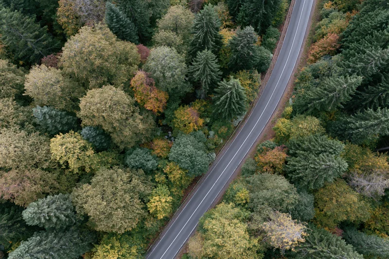 Aerial top-down view of a narrow two-lane asphalt road winding through a dense autumn forest with mixed green and colorful foliage