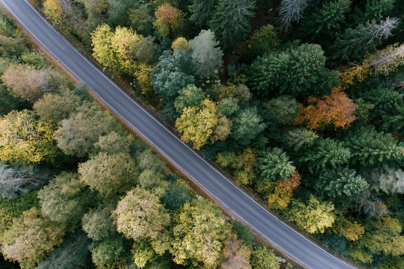 Aerial top-down view of a narrow two-lane asphalt road cutting through a dense autumn forest with colorful foliage