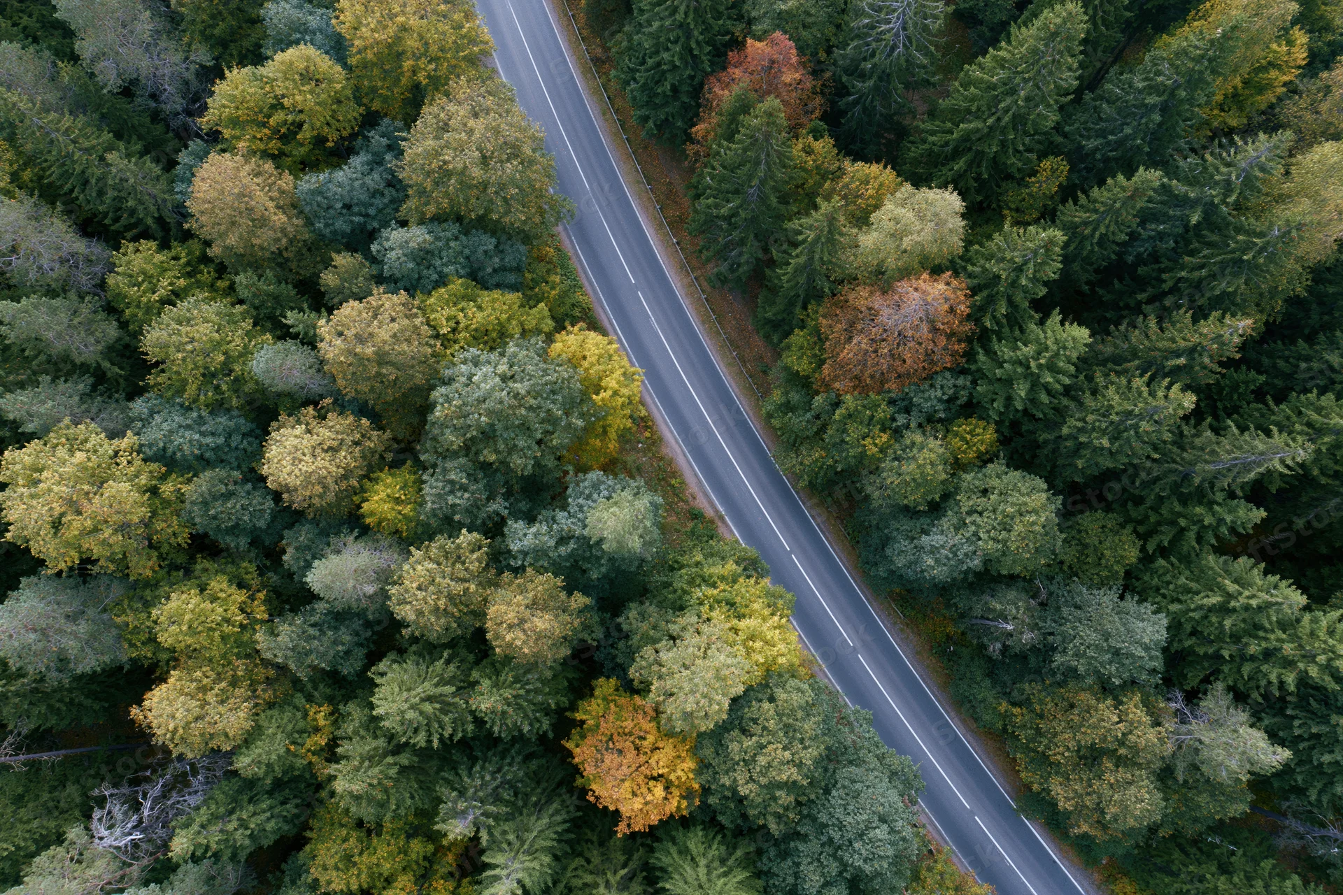Aerial top-down view of a narrow two-lane asphalt road cutting through a dense autumn forest with green and colorful foliage