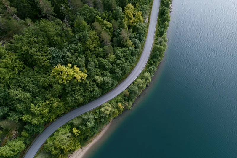 Aerial top-down view of a winding road curving through dense forest alongside a calm lake
