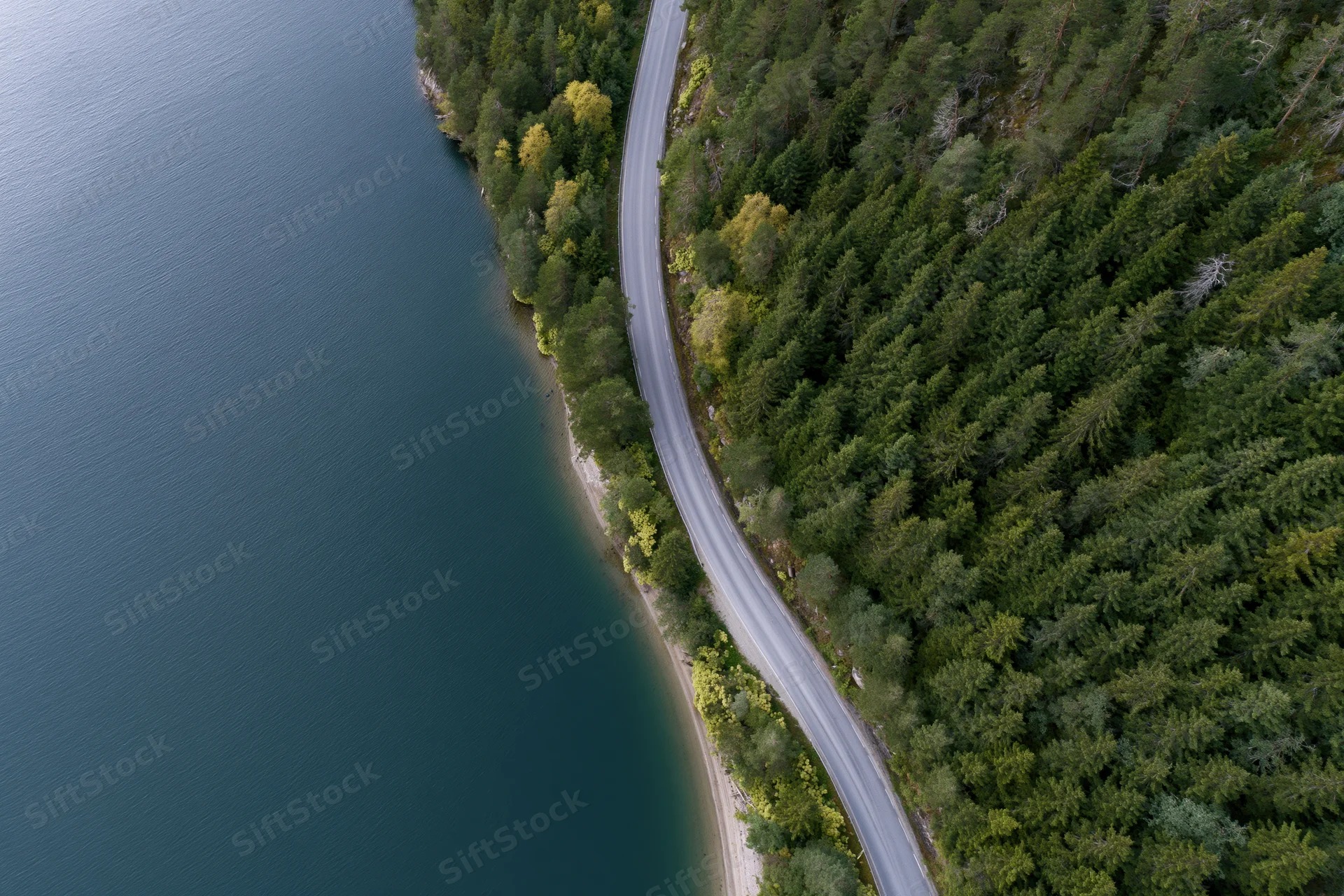 Aerial top-down view of a winding road curving along a forested shoreline beside a lake