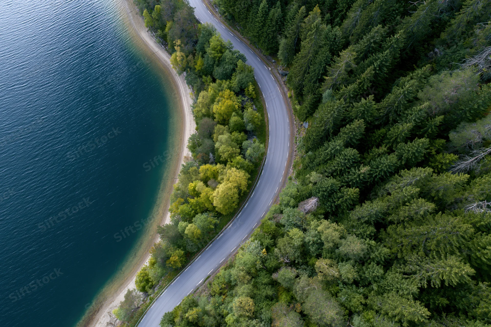Aerial top-down view of a winding road curving along a lake through a dense forest