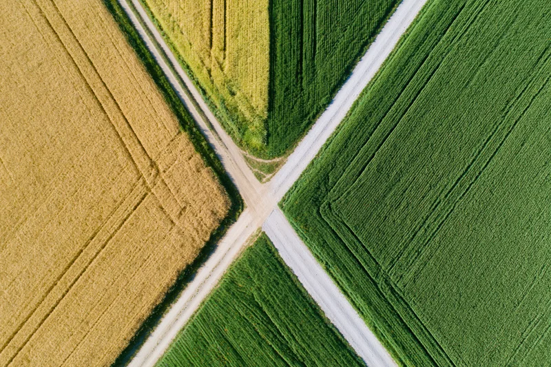 Aerial top-down view of rural crossroads with intersecting dirt roads dividing green and yellow crop fields